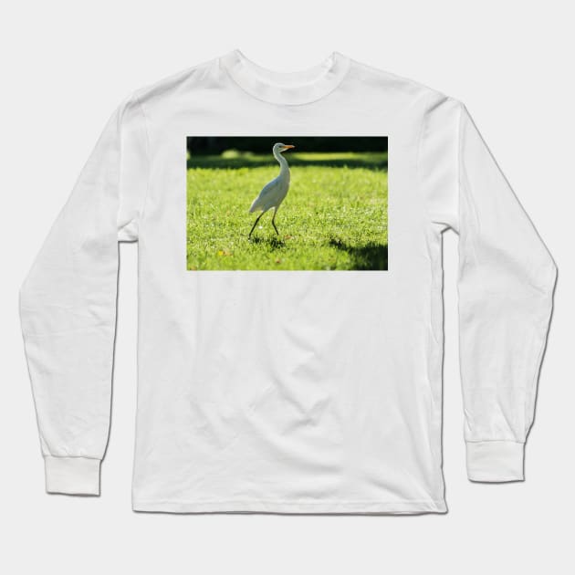 Cattle Egret: Long Sleeve T-Shirt by KensLensDesigns